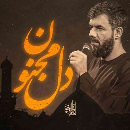 حسین ستوده دل مجنون